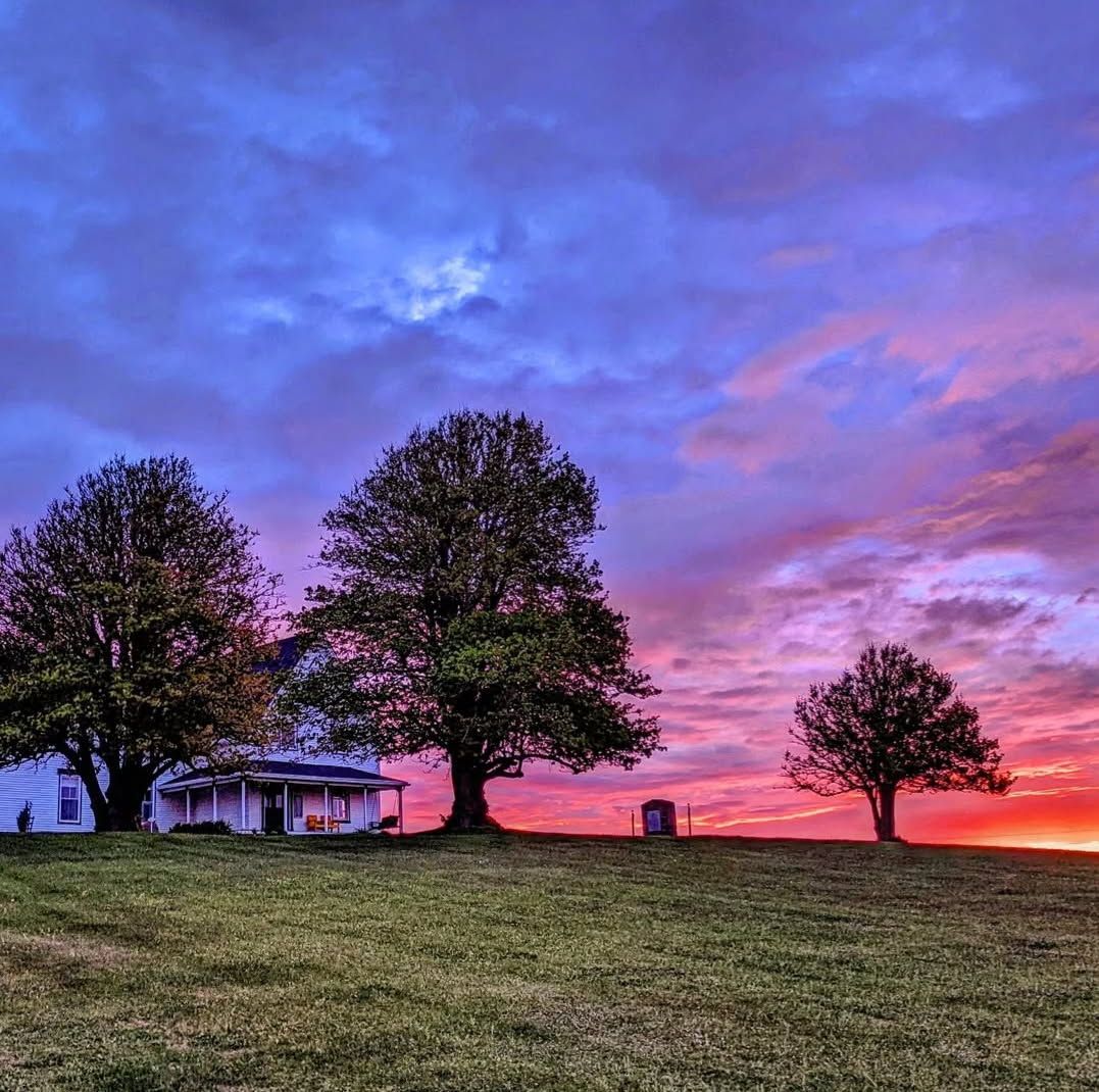 Views from Ingleside